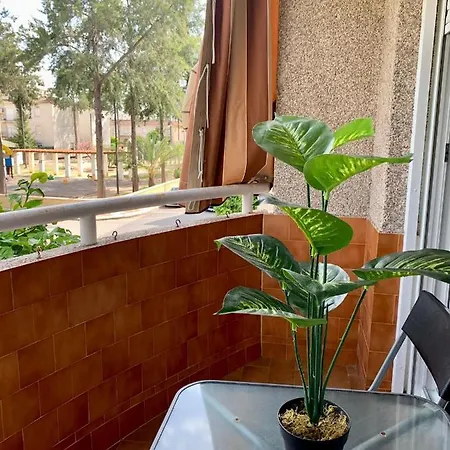 Edificio Doñana , 2 Línea De Playa Apartamento Sanlúcar de Barrameda